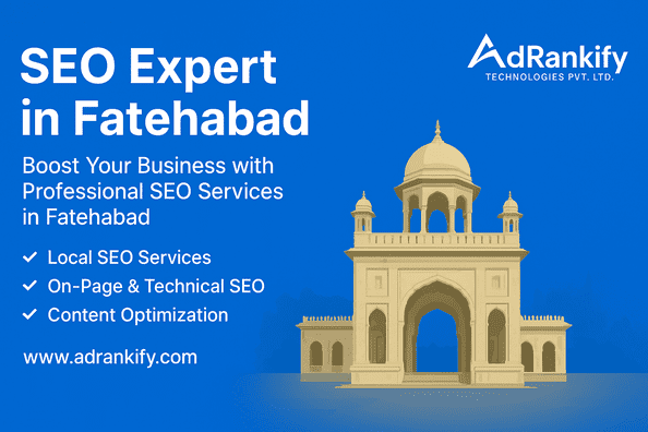 Seo Expert In Fatehabad