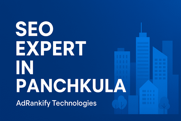 Seo Expert In Panchkula