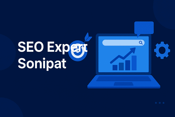 Seo Expert Sonipat