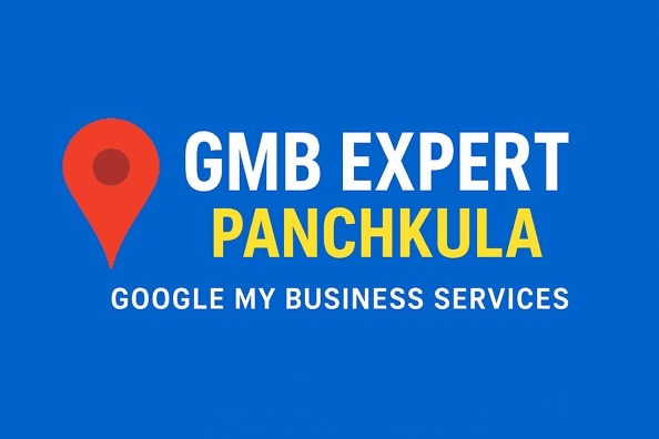 Gmb Expert In Panchkula